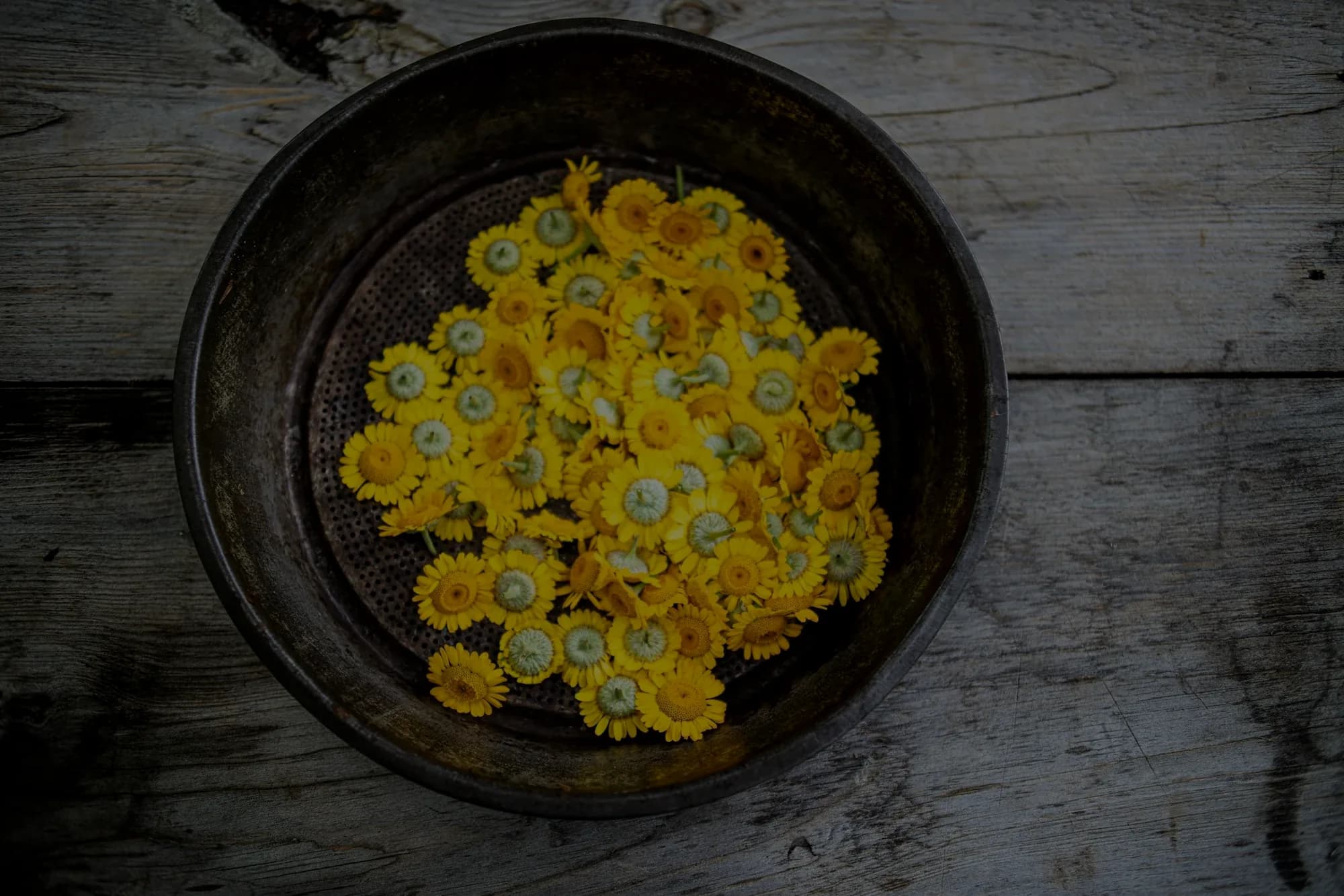 A woven bowl of dried yellow flower heads on a wooden table