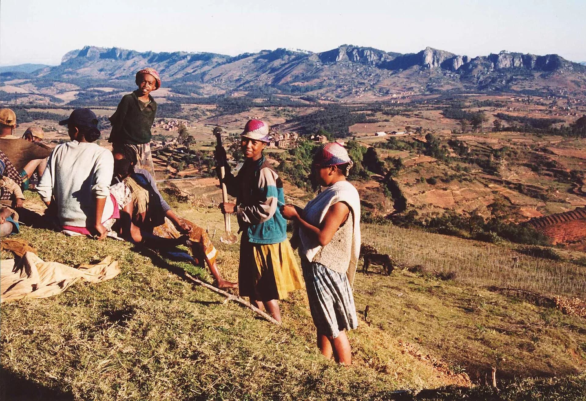 Growers and their families in the highlands around Ambalavao during the Paracress harvest